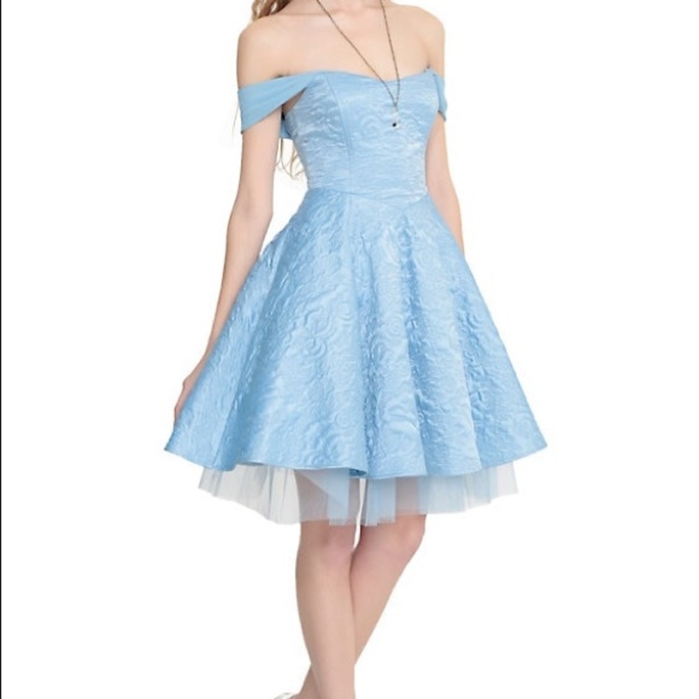 Limited Edition Cinderella Ball Gown